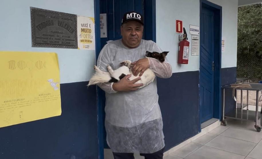 Passagem extra do CastraPet Paraná pela Ilha do Mel beneficia 102 animais