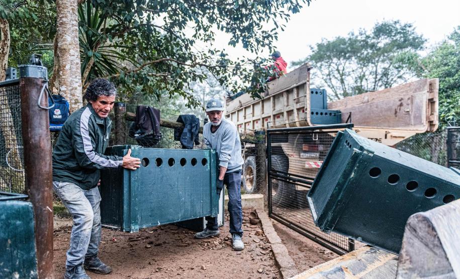 Parceria entre IAT e criadouro repovoou Parque das Lauráceas com mais de 500 animais