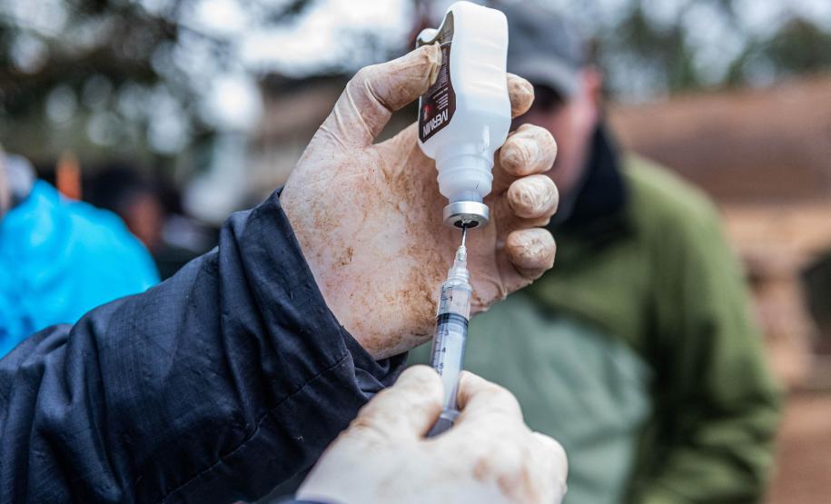 Parceria entre IAT e criadouro repovoou Parque das Lauráceas com mais de 500 animais