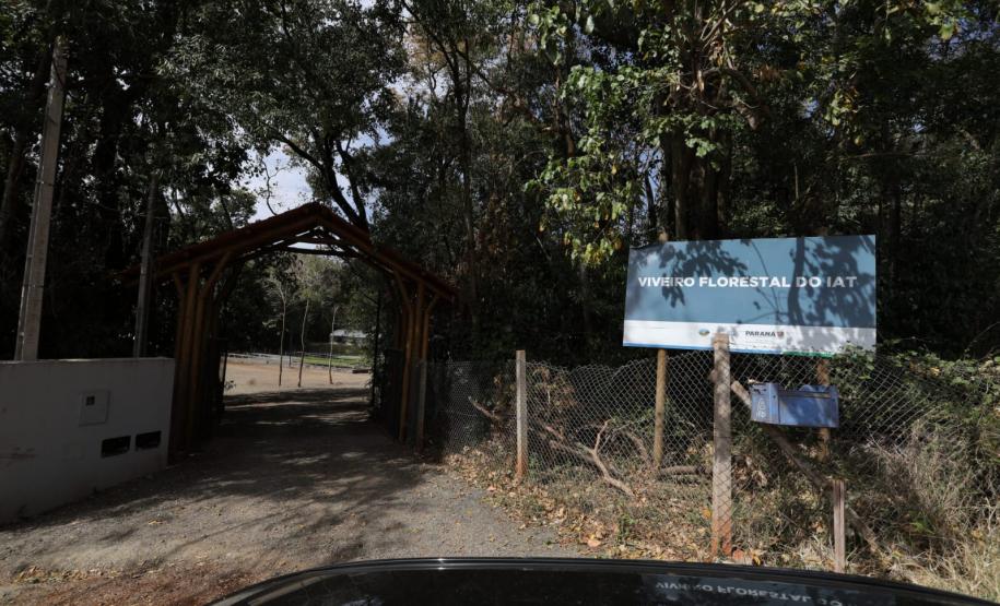 200 mil mudas por ano: Estado inaugura novas instalações do viveiro florestal de Ibiporã