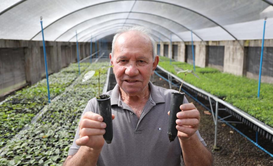 200 mil mudas por ano: Estado inaugura novas instalações do viveiro florestal de Ibiporã