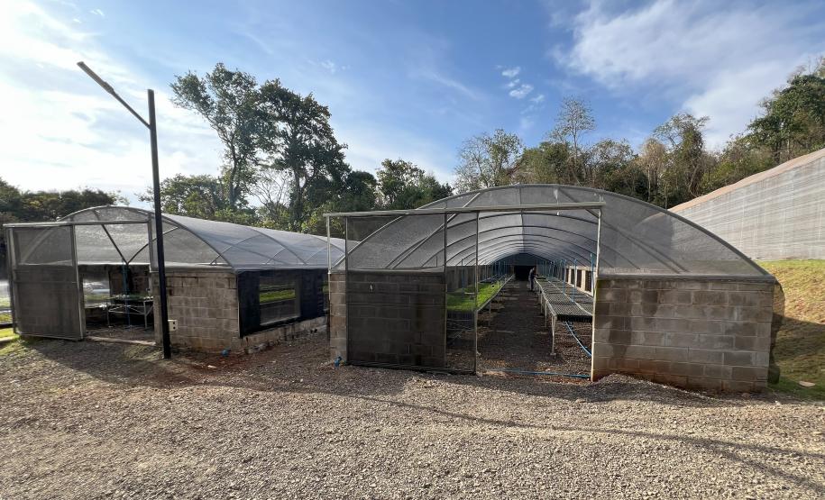 200 mil mudas por ano: Estado inaugura novas instalações do viveiro florestal de Ibiporã