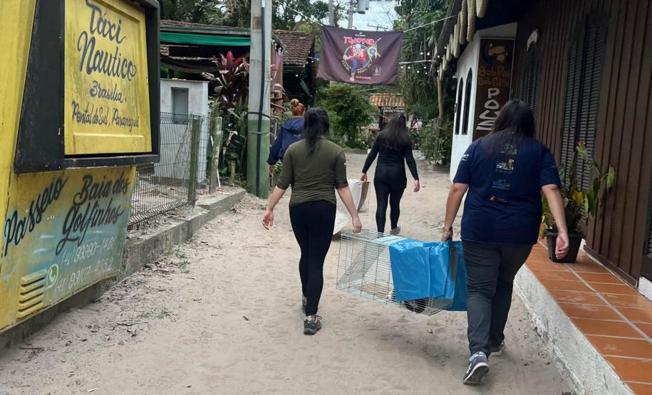 Passagem extra do CastraPet Paraná pela Ilha do Mel beneficia 102 animais