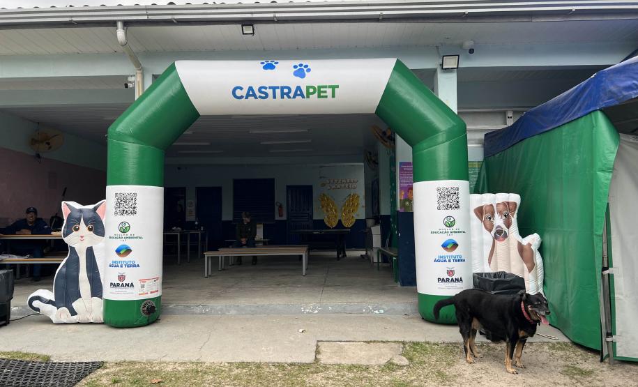Passagem extra do CastraPet Paraná pela Ilha do Mel beneficia 102 animais