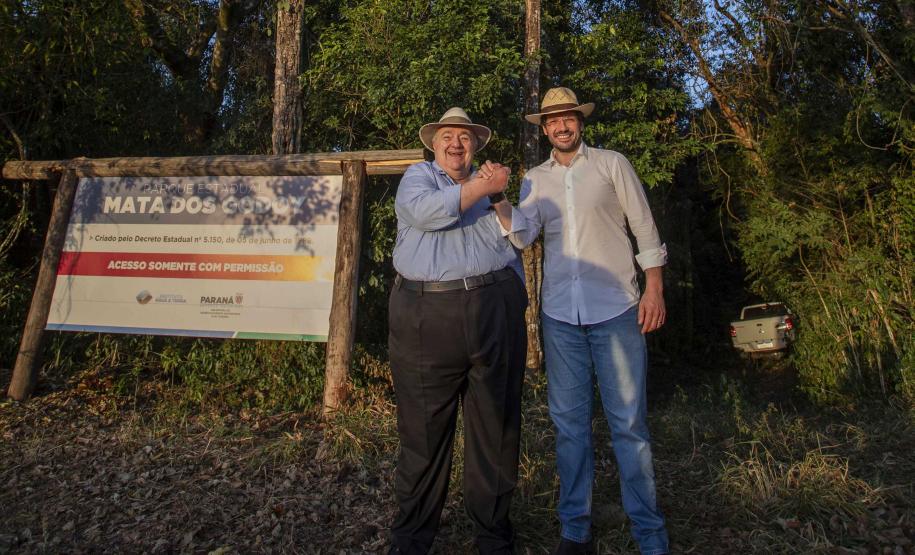 Referência em preservação no Norte do Paraná, Mata dos Godoy reabre após revitalização