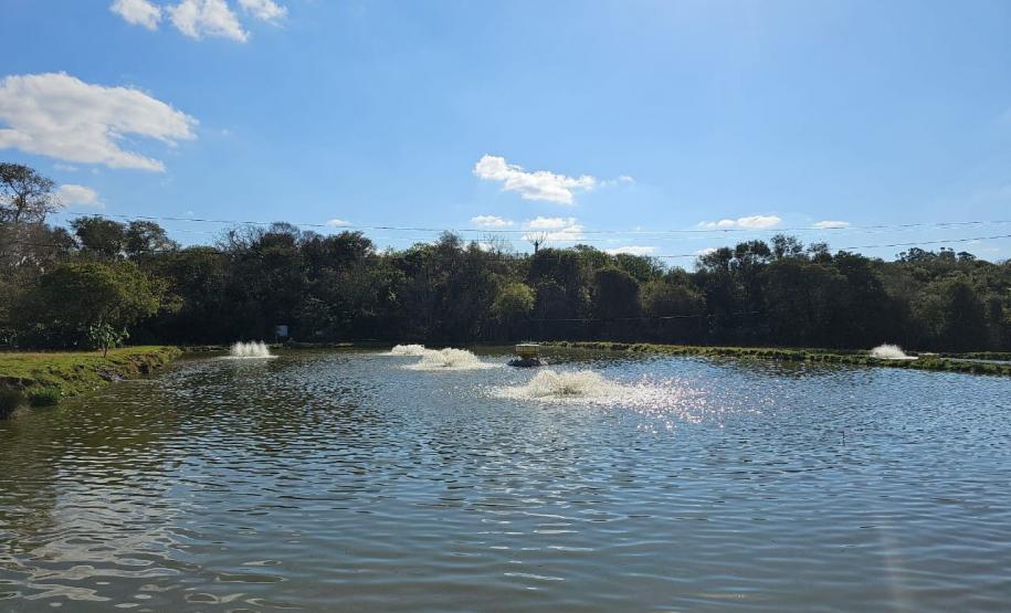 Primeira operação do IAT contra o uso irregular de recursos hídricos terminou com R$ 1 milhão em multas por danos ambientais