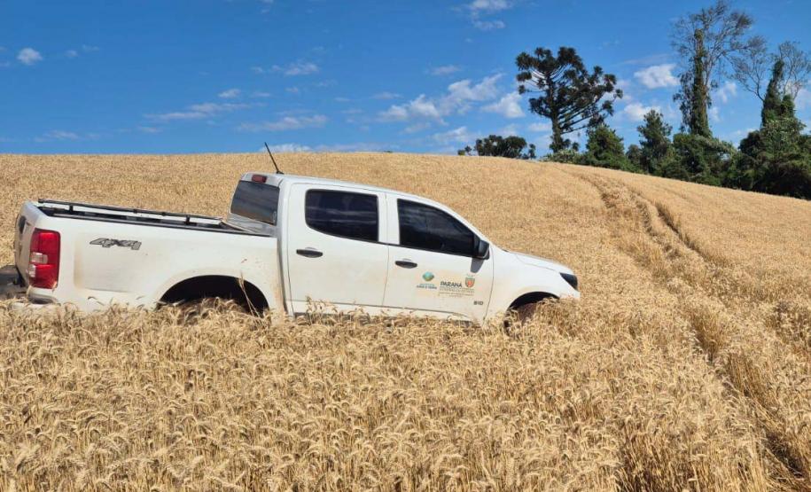 IAT aplica R$ 2,9 milhões em multas ambientais durante a Operação Mata Atlântica em Pé