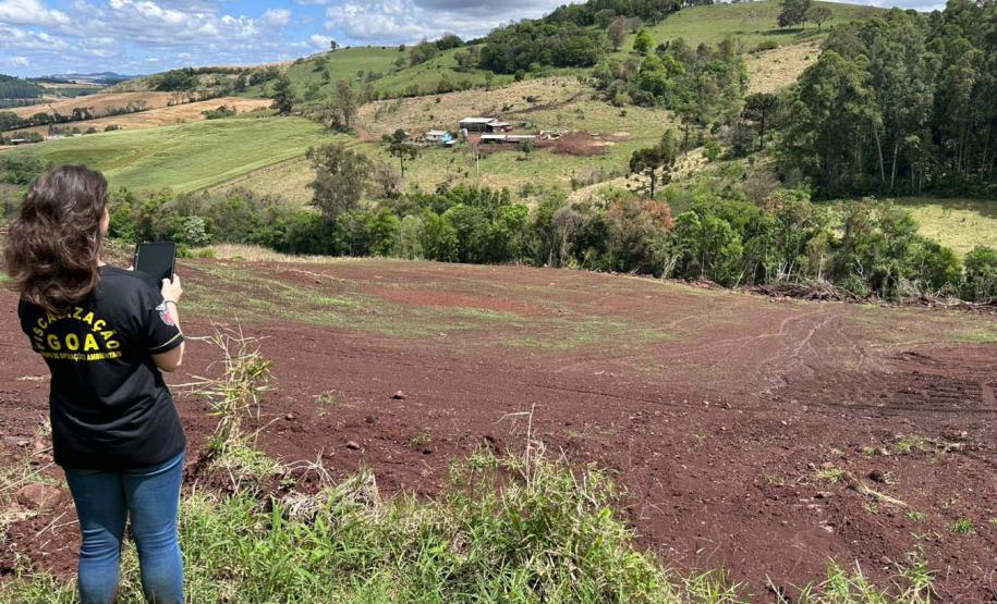 IAT aplica R$ 2,9 milhões em multas ambientais durante a Operação Mata Atlântica em Pé