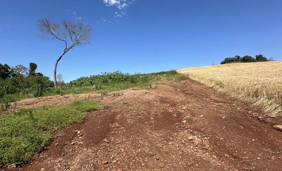 IAT aplica R$ 2,9 milhões em multas ambientais durante a Operação Mata Atlântica em Pé