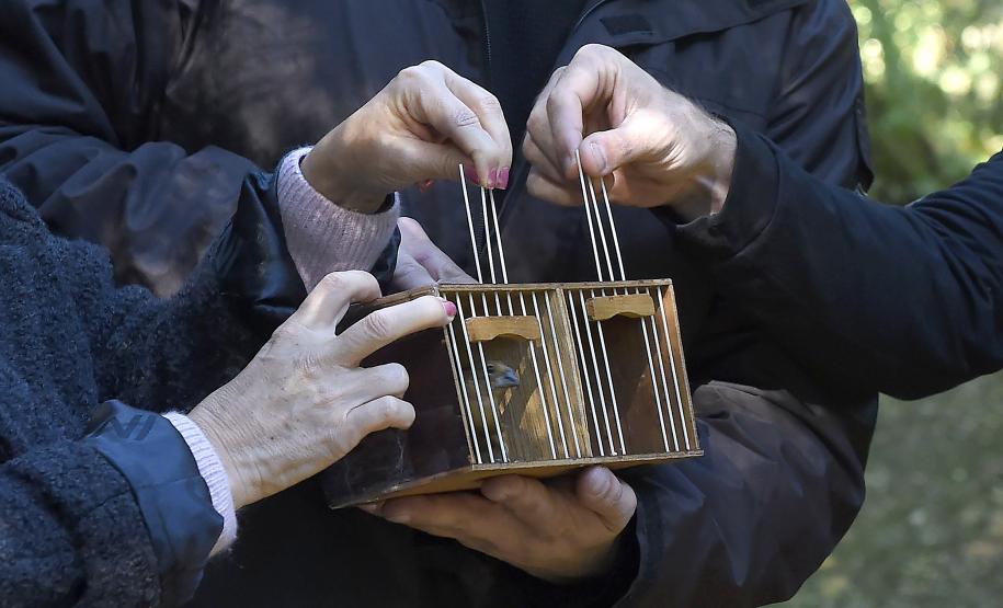 Instrução Normativa elaborada pelo IAT institui o cadastro voluntário de Áreas de Soltura de Animais Silvestres (ASAS).