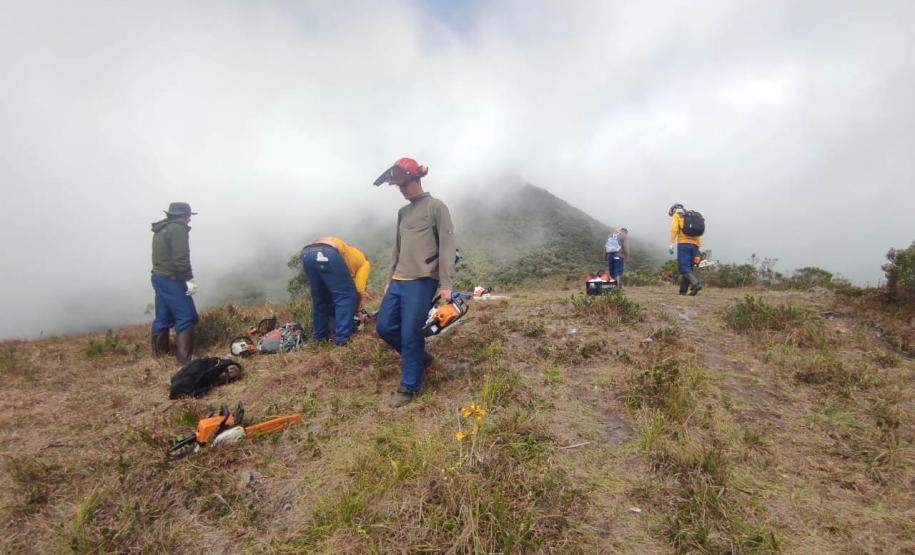 Ação do IAT e Iniciativa Campos Gerais limpa 15 hectares do Parque Pico Paraná