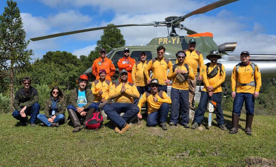 Ação do IAT e Iniciativa Campos Gerais limpa 15 hectares do Parque Pico Paraná