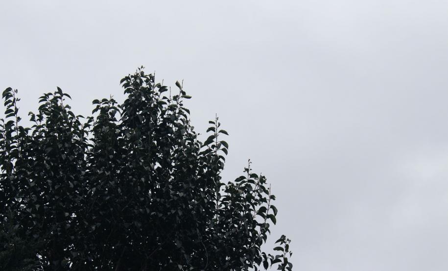 Depressão sazonal: Simepar explica sensação que atinge locais com menos exposição ao sol