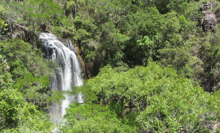 edital de créditos de biodiversidade do Paraná