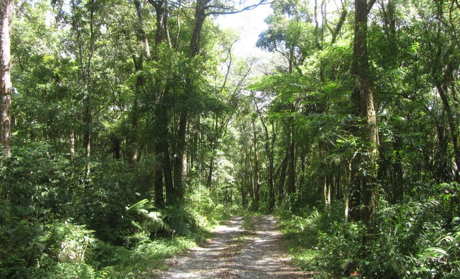 Créditos de Biodiversidade: edital para inscrição de RPPNs vai até 1º de outubro