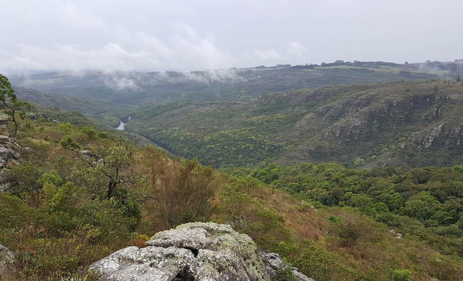 Créditos de Biodiversidade: edital para inscrição de RPPNs vai até 1º de outubro