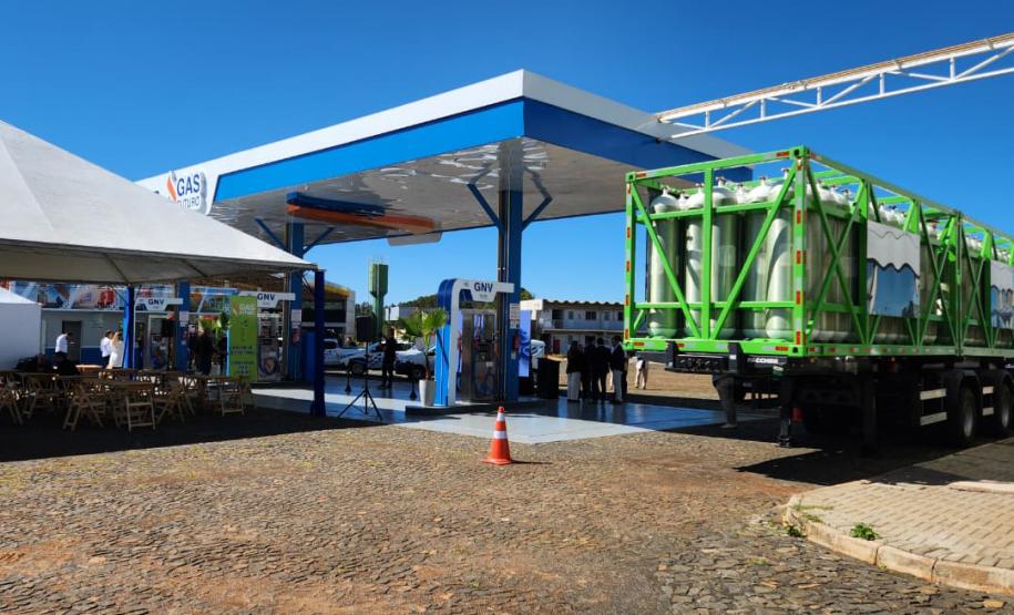 Foto: Daniel Castellano/SEDEST