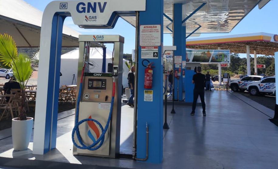 Foto: Daniel Castellano/SEDEST