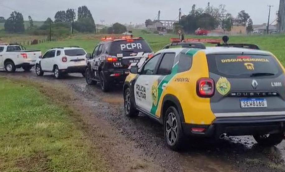 PCPR, PMPR e IAT prendem mulher por tráfico de animais e uso de documentos falsos em Guarapuava Foto: PCPR