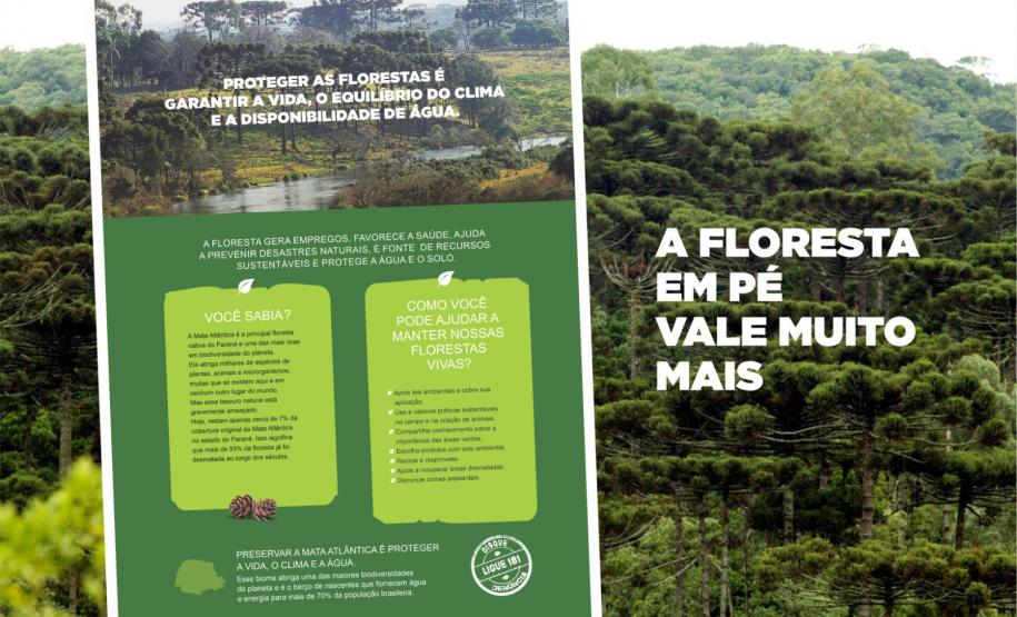 Estado amplia acervo de materiais didáticos com novas cartilhas de educação ambiental