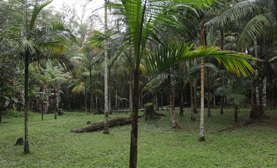 Governo do Estado moderniza estrutura das Unidades de Conservação com investimento de R$ 774 mil