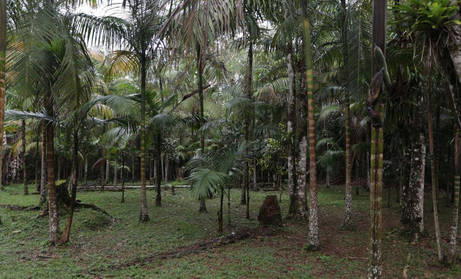 Governo do Estado moderniza estrutura das Unidades de Conservação com investimento de R$ 774 mil