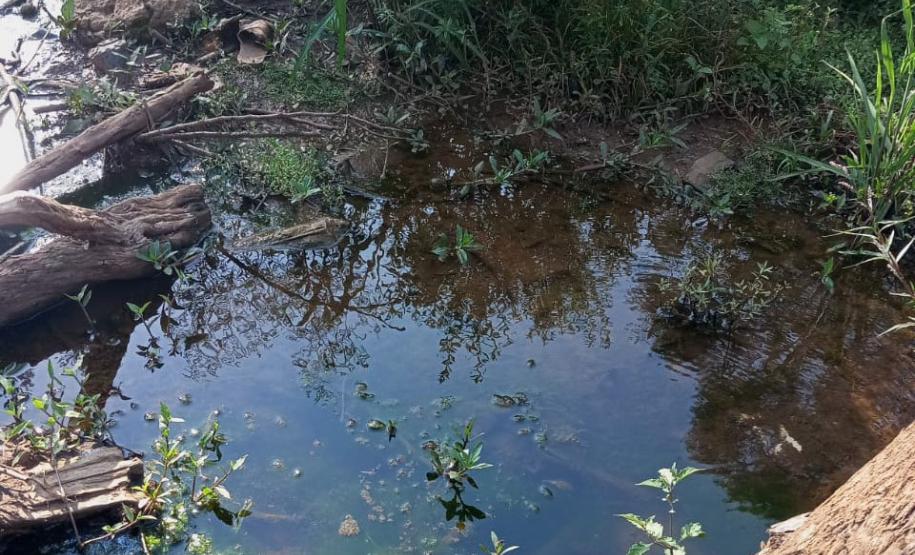 Instituto Água e Terra multou em R$ 25 mil a prefeitura de Cruz Machado pela utilização irregular de equipamentos do município para a prática de crimes ambientais