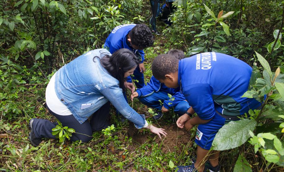 IAT desenvolve ação de educação ambiental em Morretes para o Dia das Crianças