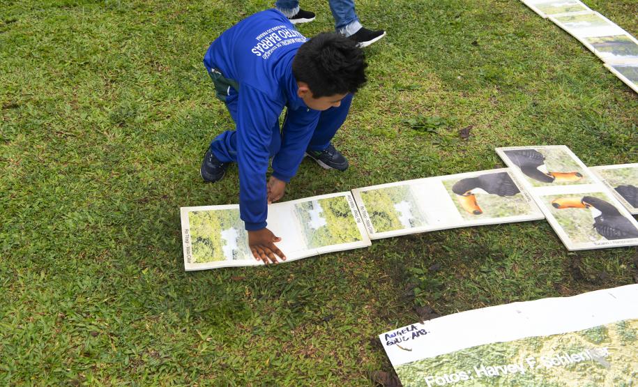 IAT desenvolve ação de educação ambiental em Morretes para o Dia das Crianças