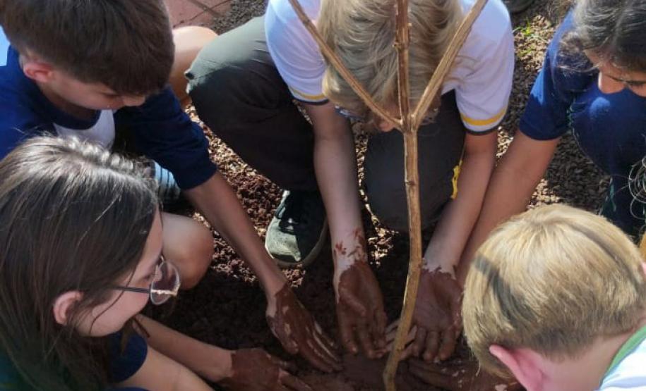 Ação de educação ambiental organizada pelo IAT estimula a troca de roupas infantis e brinquedos novos ou em bom estado por mudas de espécies nativas