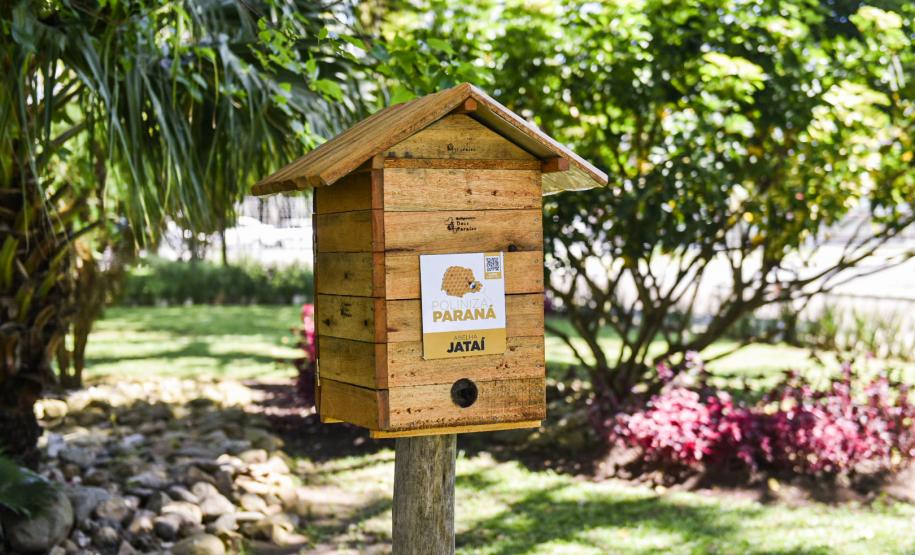 Palácio da Justiça ganha mais um jardim de mel do Poliniza Paraná