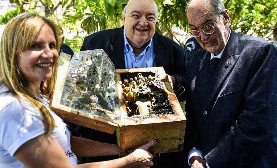 Palácio da Justiça ganha mais um jardim de mel do Poliniza Paraná