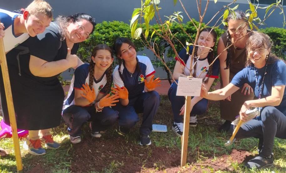 Paraná supera em 20% a distribuição de mudas nativas durante a Semana da Árvore