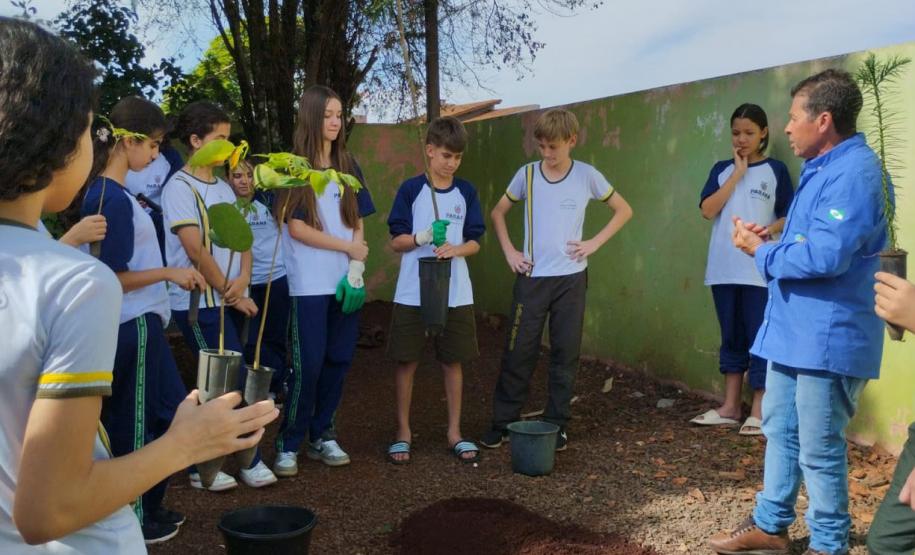 Paraná supera em 20% a distribuição de mudas nativas durante a Semana da Árvore