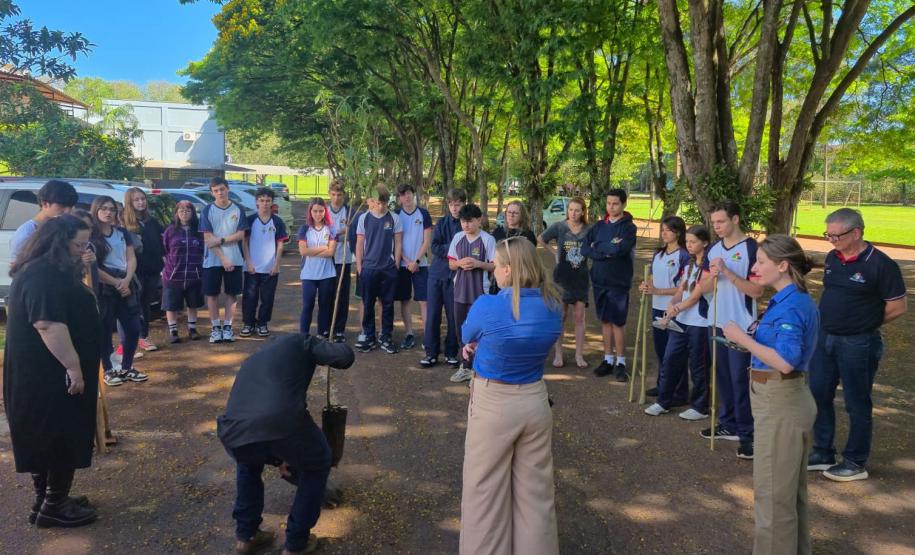 Paraná supera em 20% a distribuição de mudas nativas durante a Semana da Árvore