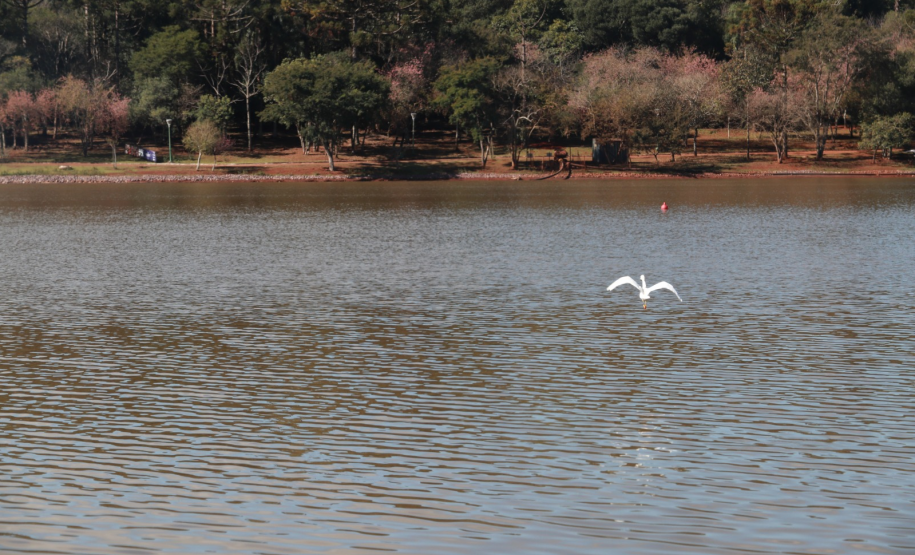 IAT emite licença ambiental para revitalização do Território Verde em Cascavel