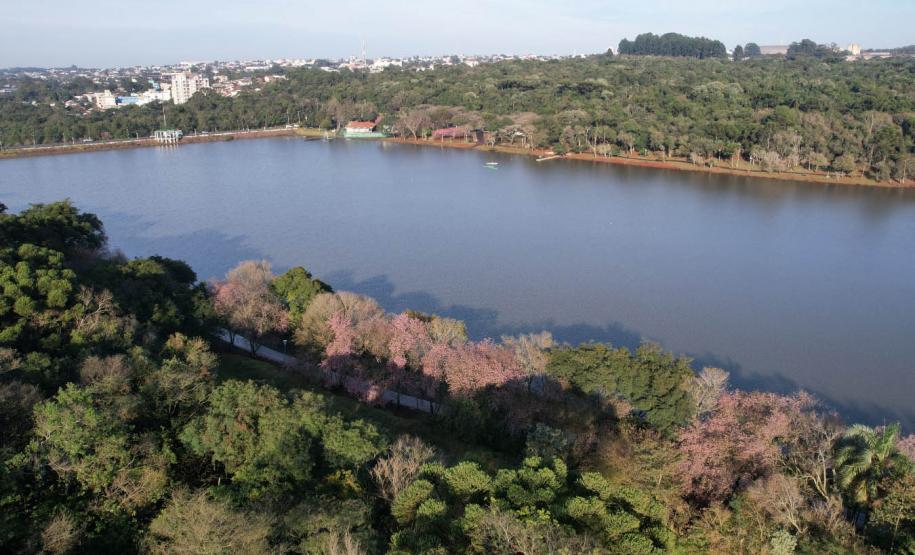 IAT emite licença ambiental para revitalização do Território Verde em Cascavel