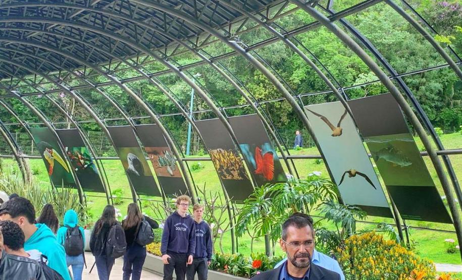 Exposição “Fauna da Mata Atlântica” entra em cartaz no Jardim Botânico de Curitiba