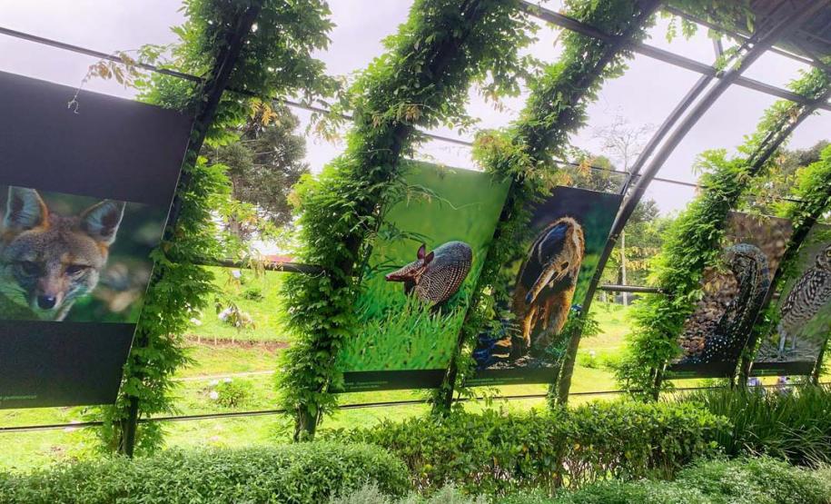 Exposição “Fauna da Mata Atlântica” entra em cartaz no Jardim Botânico de Curitiba