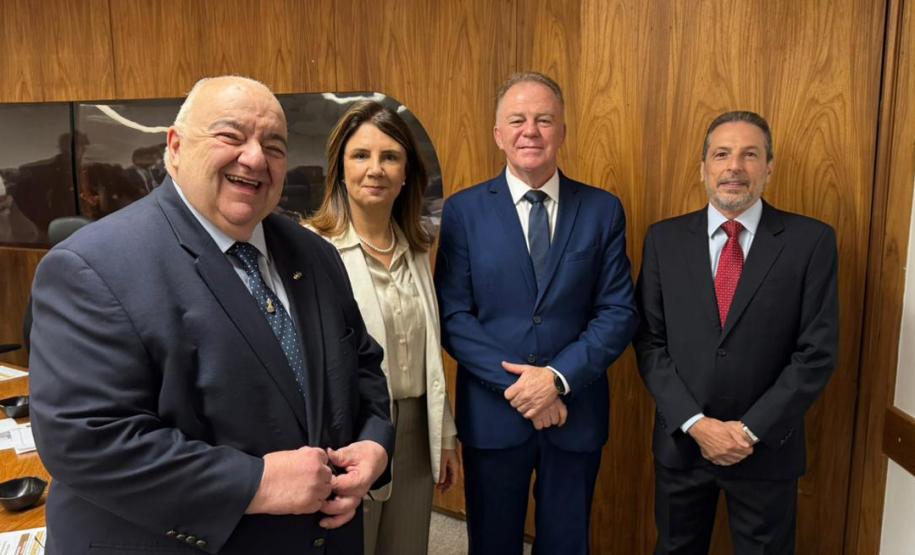 Paraná representa Mata Atlântica em reunião preparatória da COP30 em Brasília