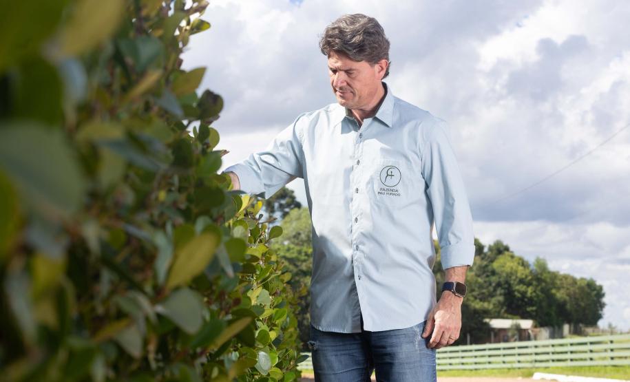 A Fazenda Pau Furado, localizada em Teixeira Soares, nos Campos Gerais, possui a certificação internacional RTRS.