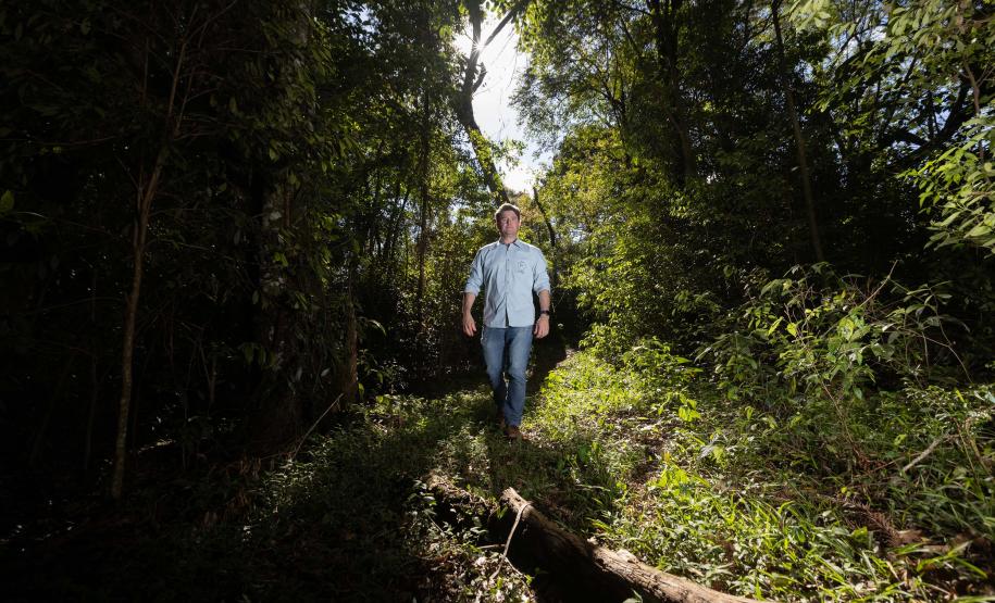 A Fazenda Pau Furado, localizada em Teixeira Soares, nos Campos Gerais, possui a certificação internacional RTRS.