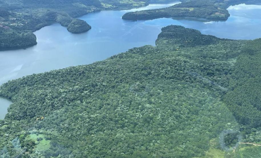 Estação Ecológica Estadual Reserva de Bituruna, em Bituruna, no Sul do Estado, conta com uma área de 280 hectares.