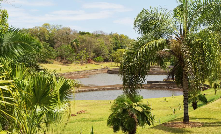 Feriado prolongado: Unidades de Conservação permitem folga perto da natureza