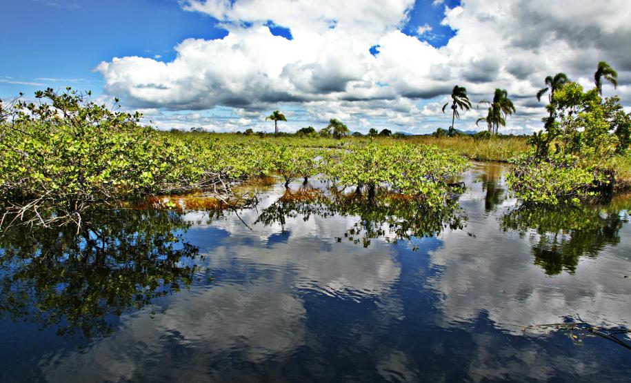Comitês de Bacias Hidrográficas do Paraná definem planejamento para 2026
