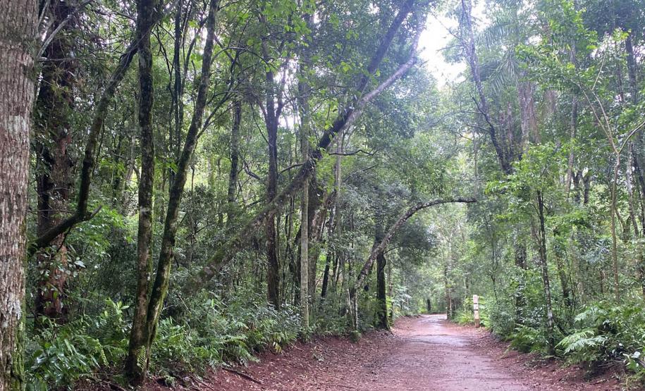 Da maior à mais aquática: um tour sobre as curiosidades das Unidades de Conservação