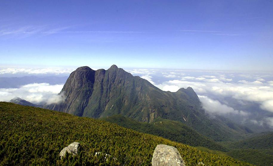 Da maior à mais aquática: um tour sobre as curiosidades das Unidades de Conservação