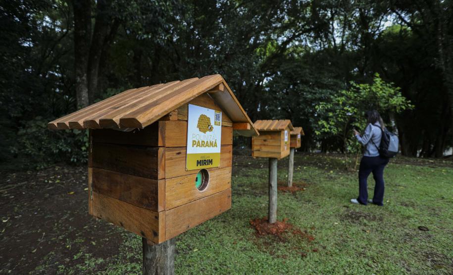 MON recebe três casas de abelhas nativas sem ferrão do Projeto Poliniza Paraná