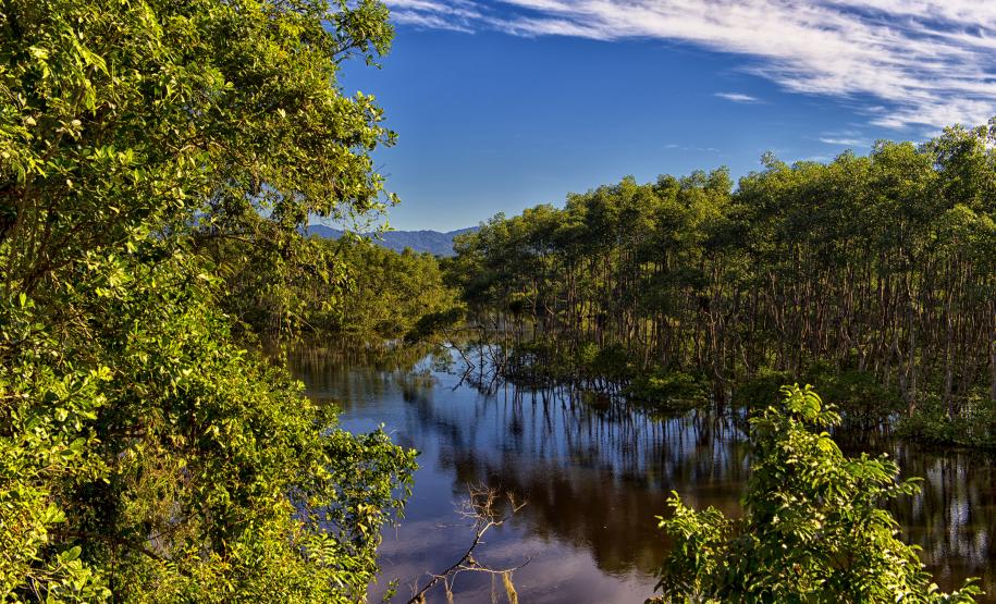 Feriado prolongado: Unidades de Conservação permitem folga perto da natureza