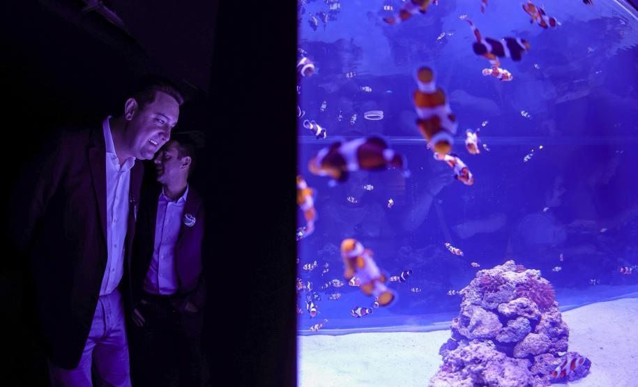 Novo atrativo: Foz do Iguaçu ganha um dos maiores aquários da América do Sul